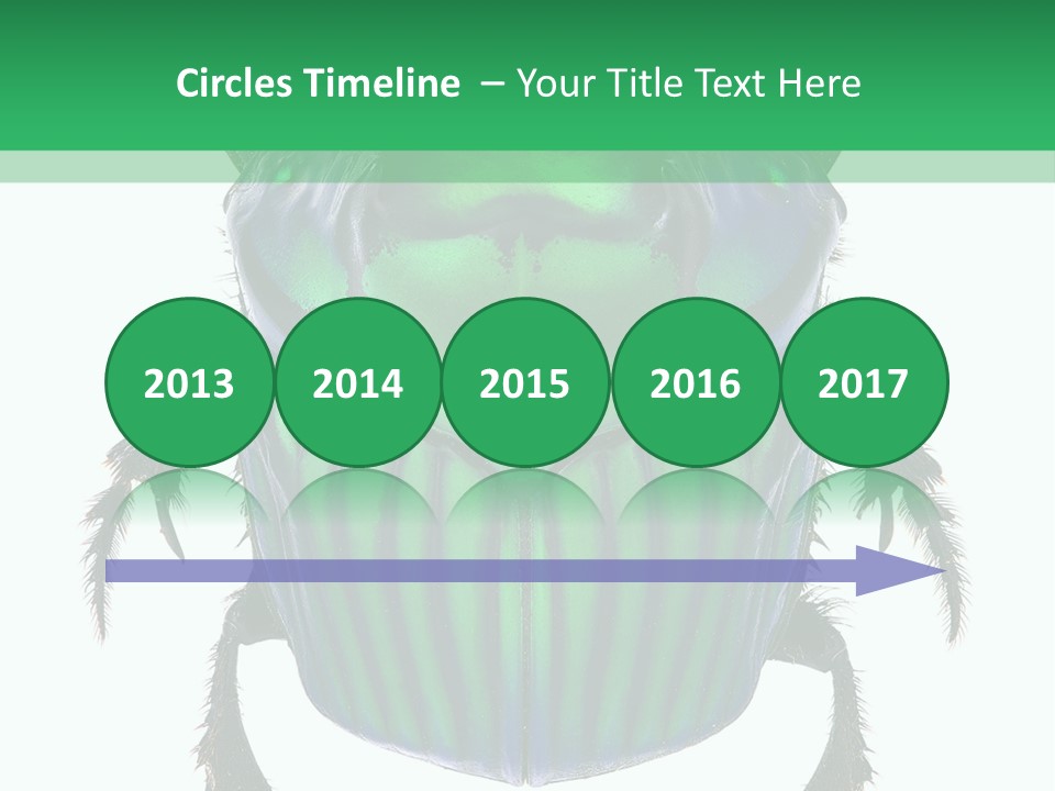 South America Wildlife Dung Eater PowerPoint Template