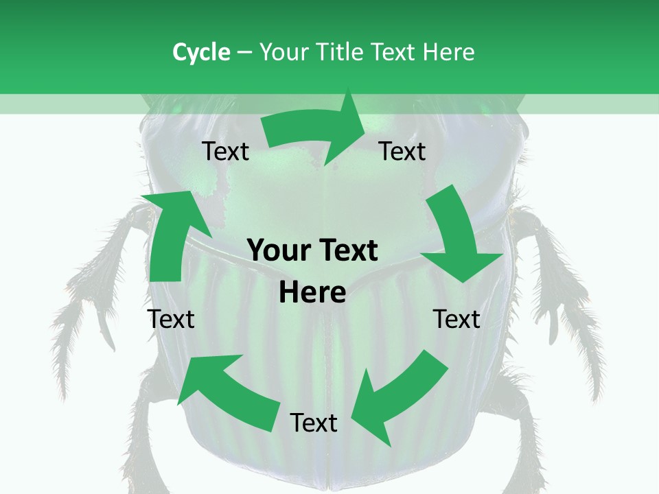 South America Wildlife Dung Eater PowerPoint Template