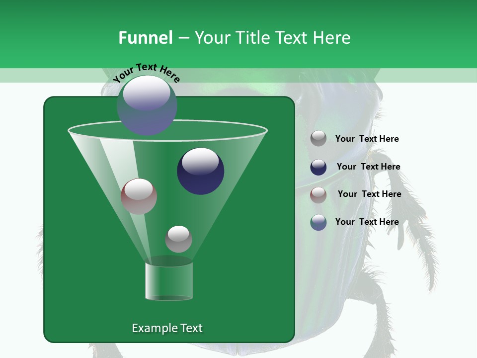 South America Wildlife Dung Eater PowerPoint Template