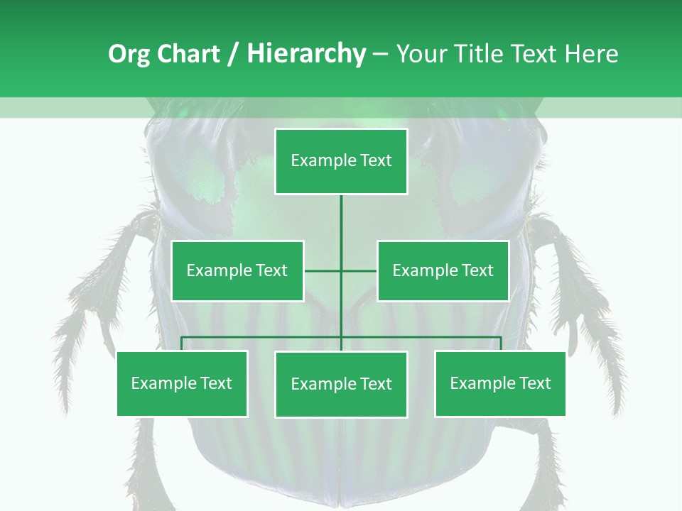 South America Wildlife Dung Eater PowerPoint Template