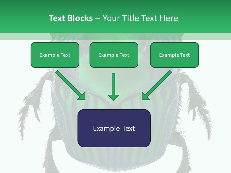 South America Wildlife Dung Eater PowerPoint Template