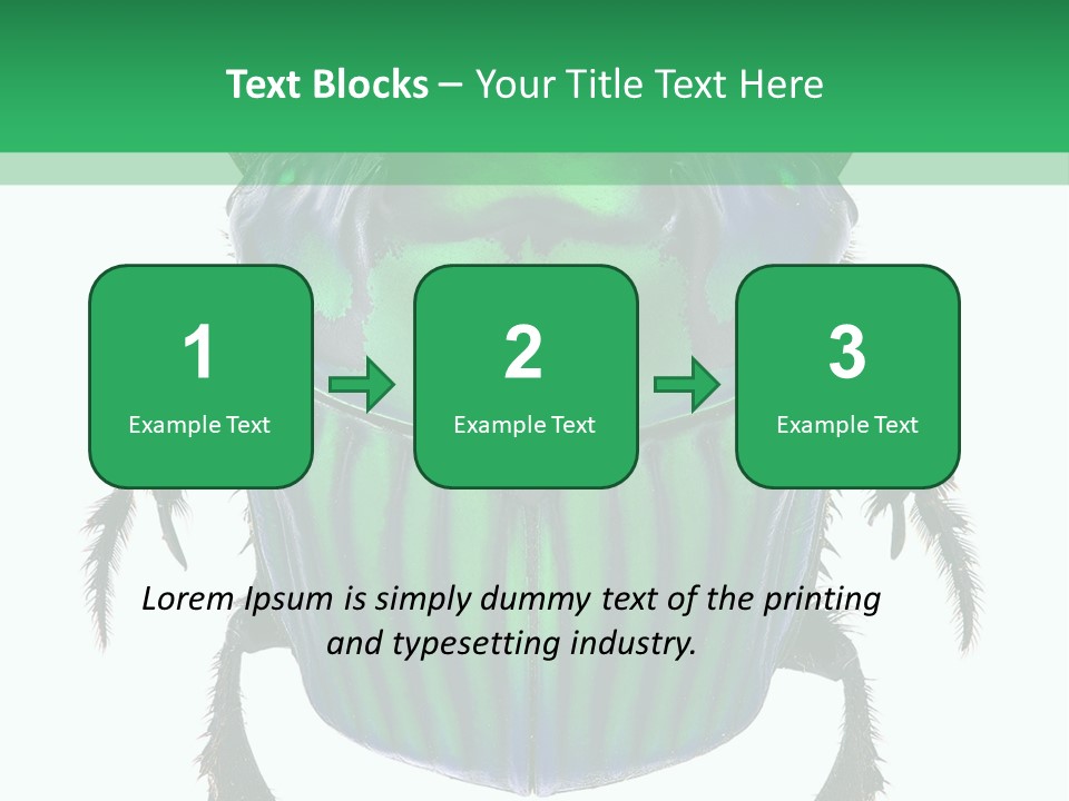 South America Wildlife Dung Eater PowerPoint Template