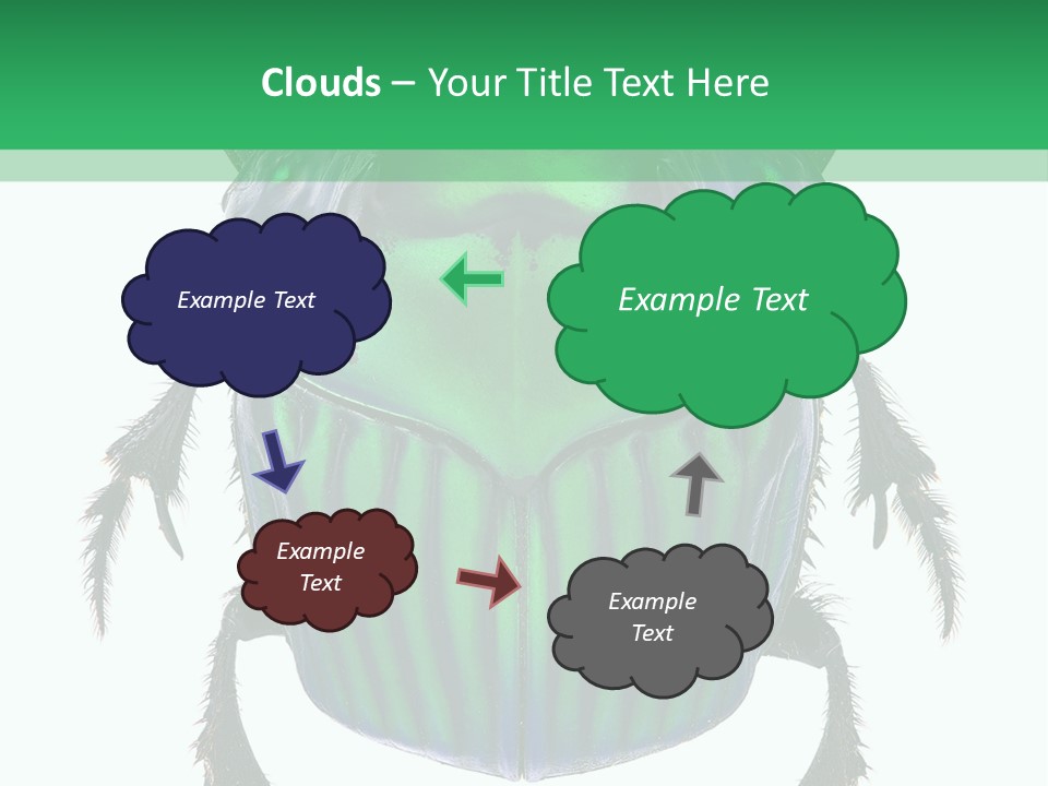 South America Wildlife Dung Eater PowerPoint Template
