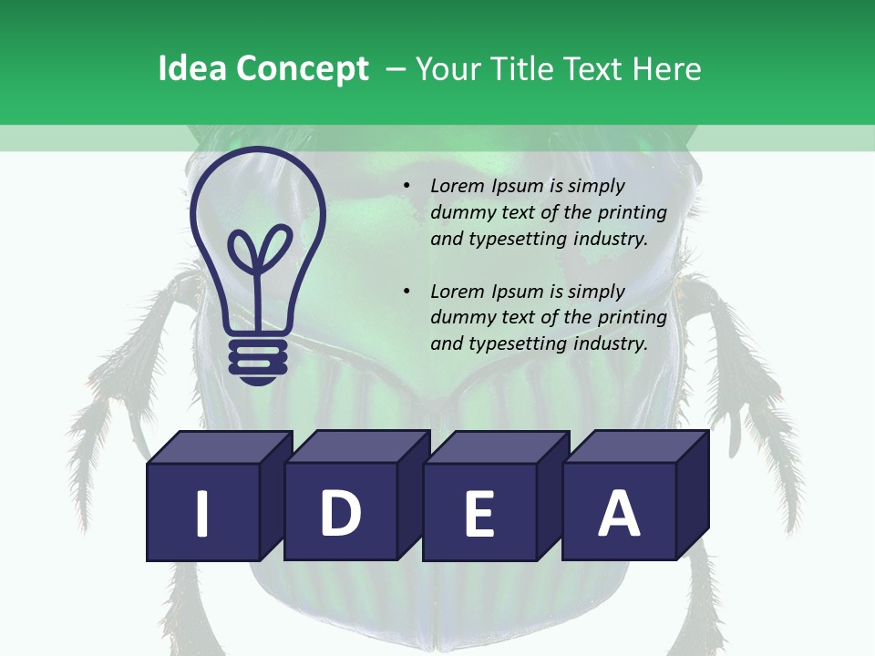 South America Wildlife Dung Eater PowerPoint Template