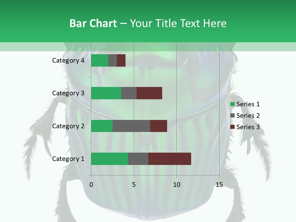 South America Wildlife Dung Eater PowerPoint Template