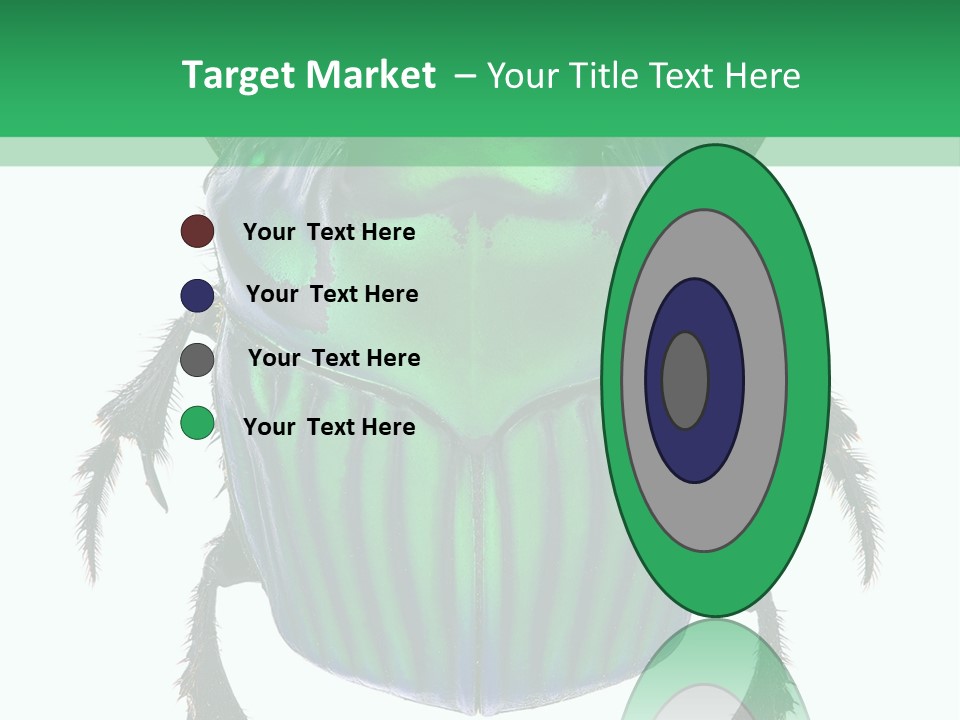 South America Wildlife Dung Eater PowerPoint Template