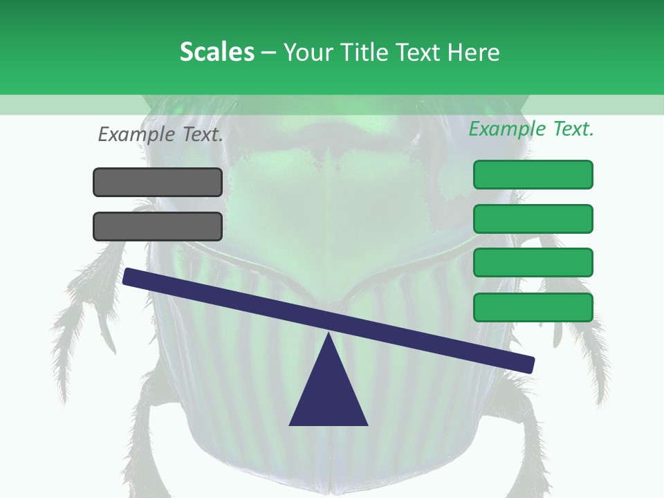 South America Wildlife Dung Eater PowerPoint Template