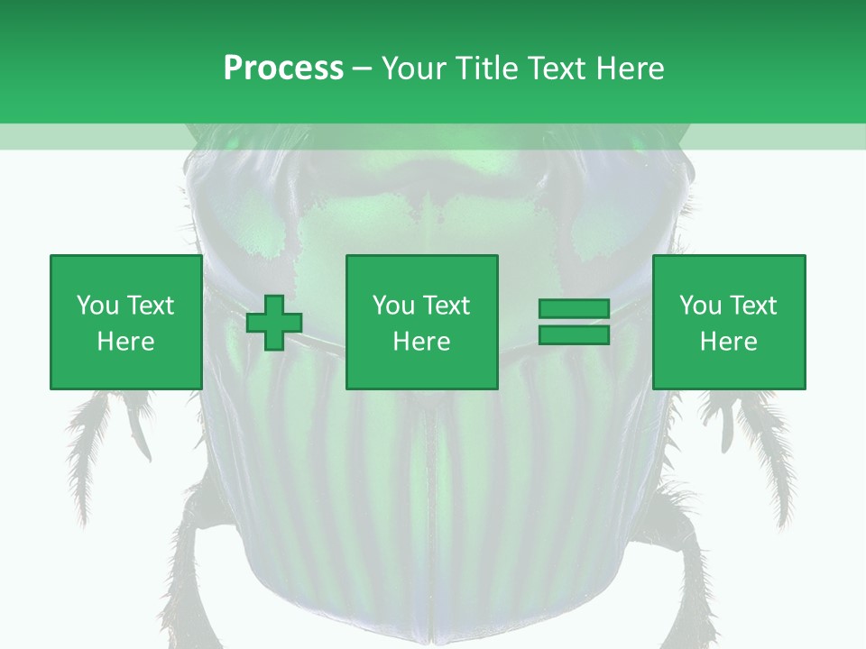 South America Wildlife Dung Eater PowerPoint Template