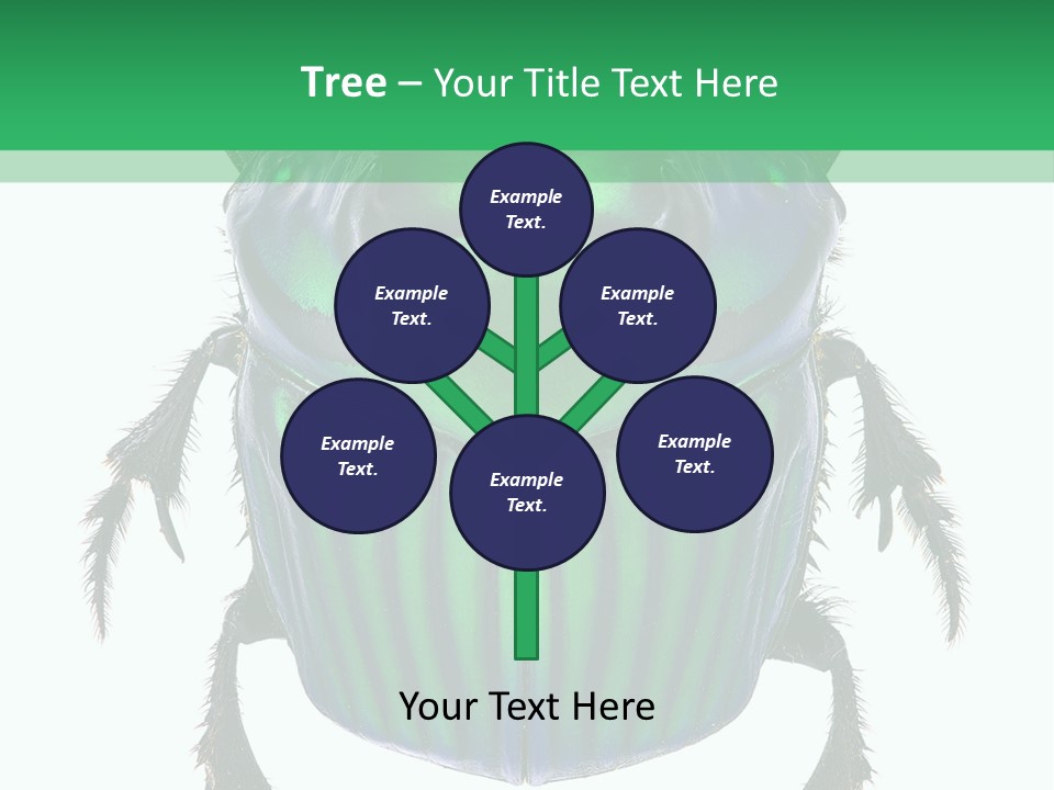 South America Wildlife Dung Eater PowerPoint Template