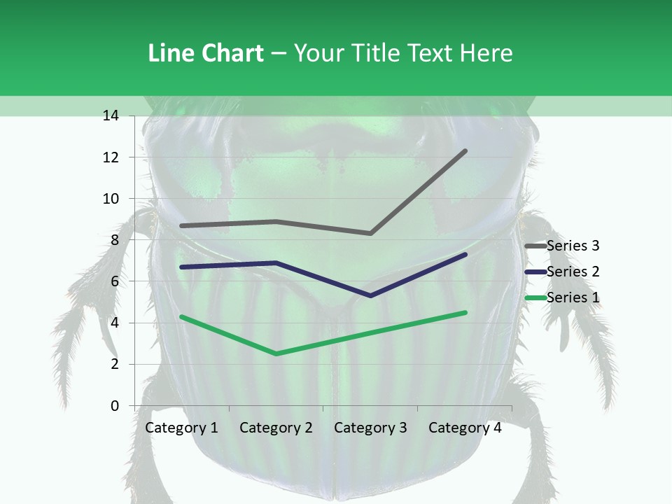 South America Wildlife Dung Eater PowerPoint Template