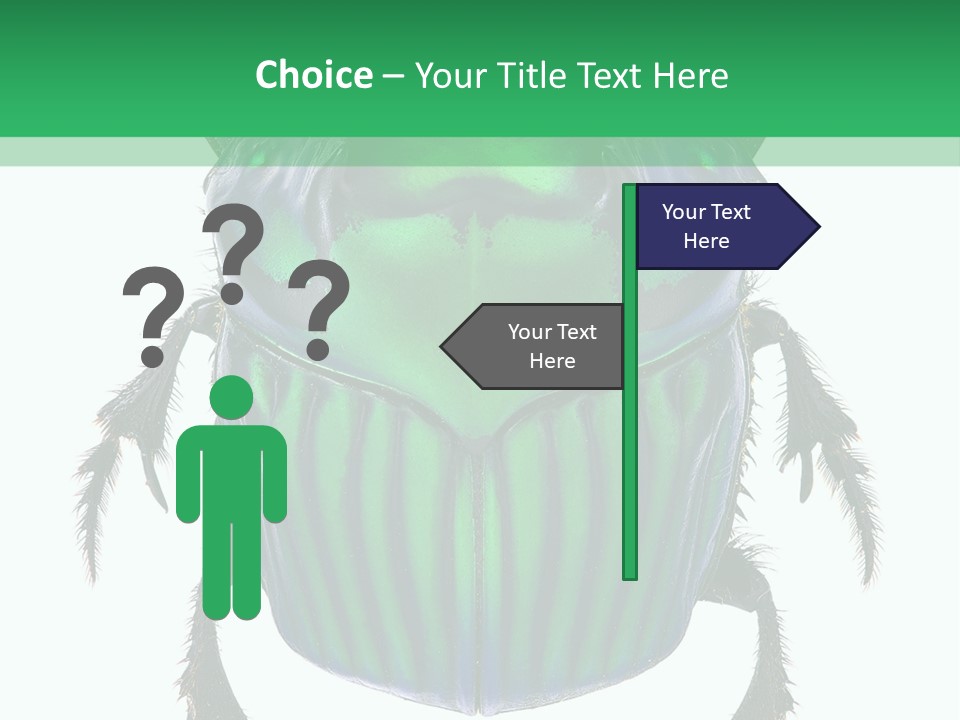 South America Wildlife Dung Eater PowerPoint Template