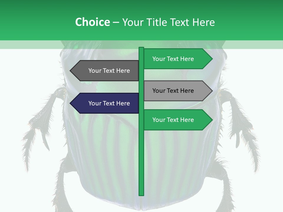 South America Wildlife Dung Eater PowerPoint Template