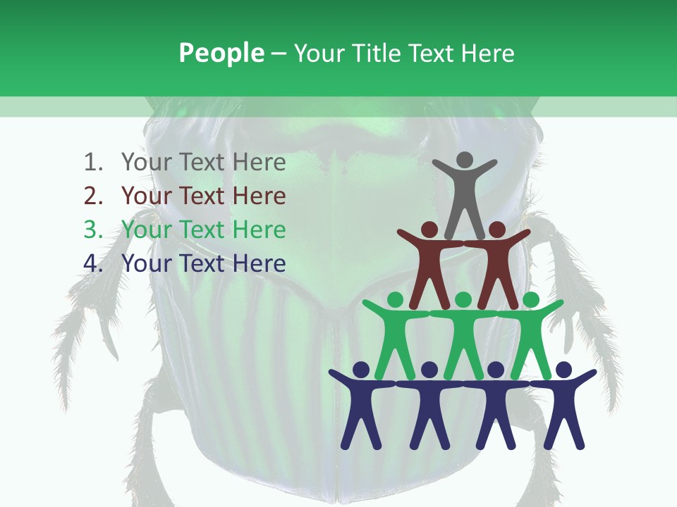 South America Wildlife Dung Eater PowerPoint Template