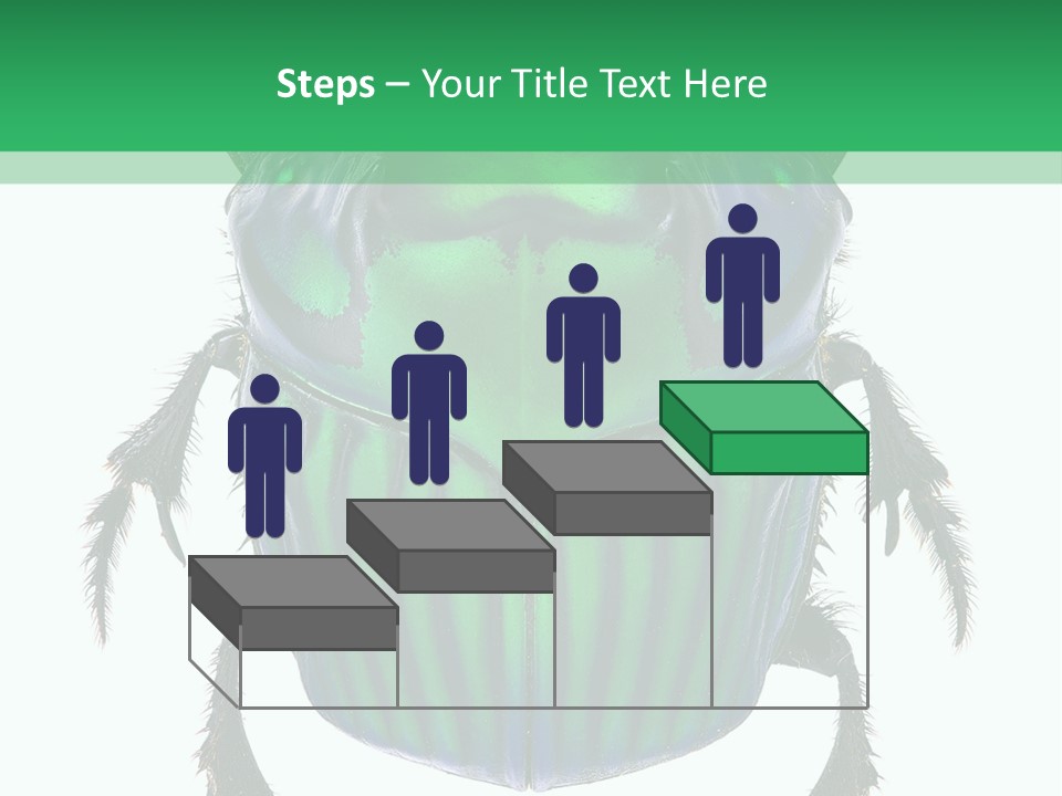 South America Wildlife Dung Eater PowerPoint Template