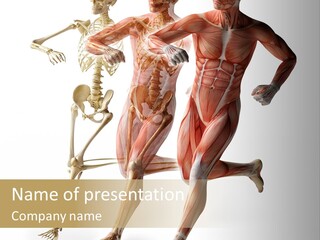 Flesh Anatomic Nature PowerPoint Template