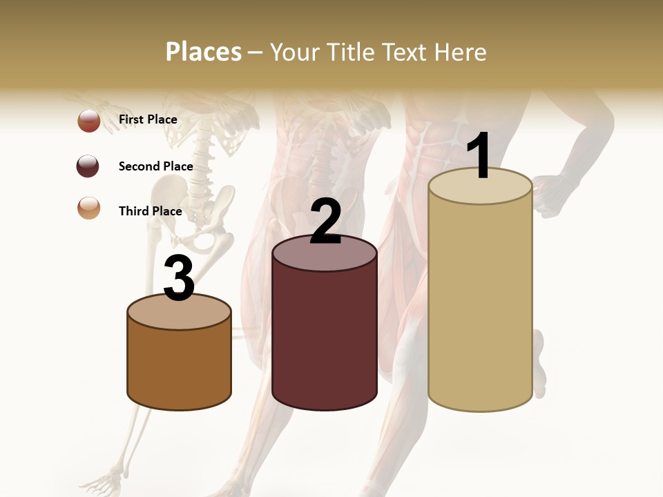 Flesh Anatomic Nature PowerPoint Template