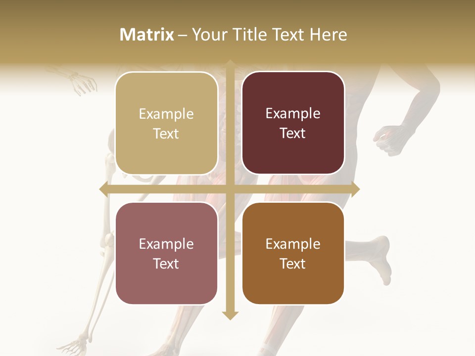 Flesh Anatomic Nature PowerPoint Template