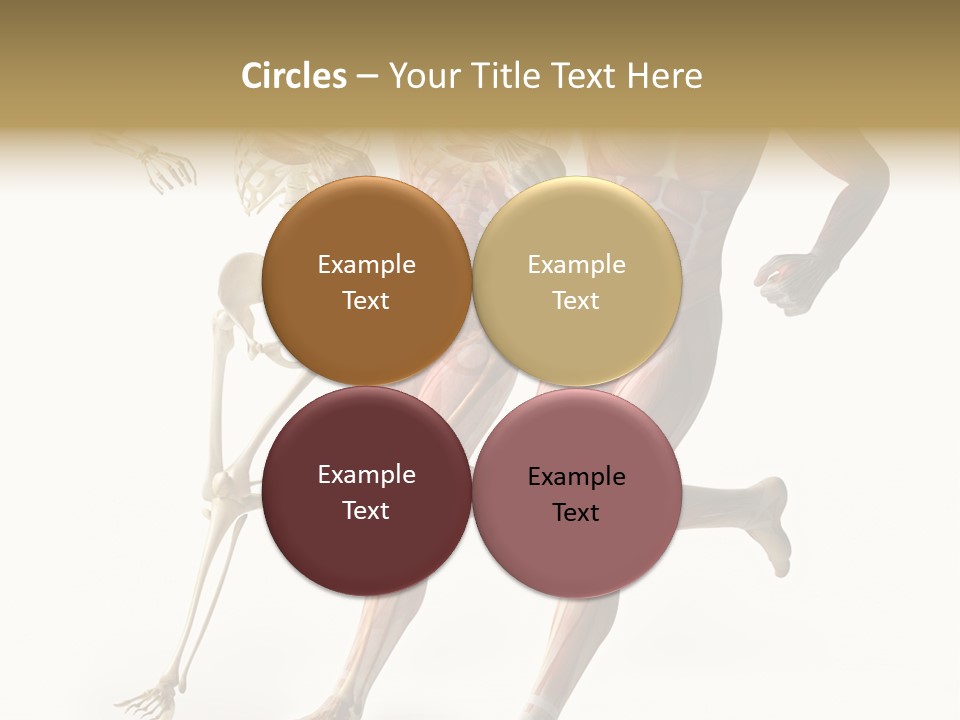 Flesh Anatomic Nature PowerPoint Template