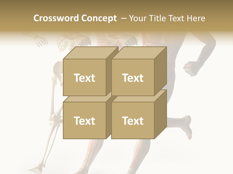 Flesh Anatomic Nature PowerPoint Template