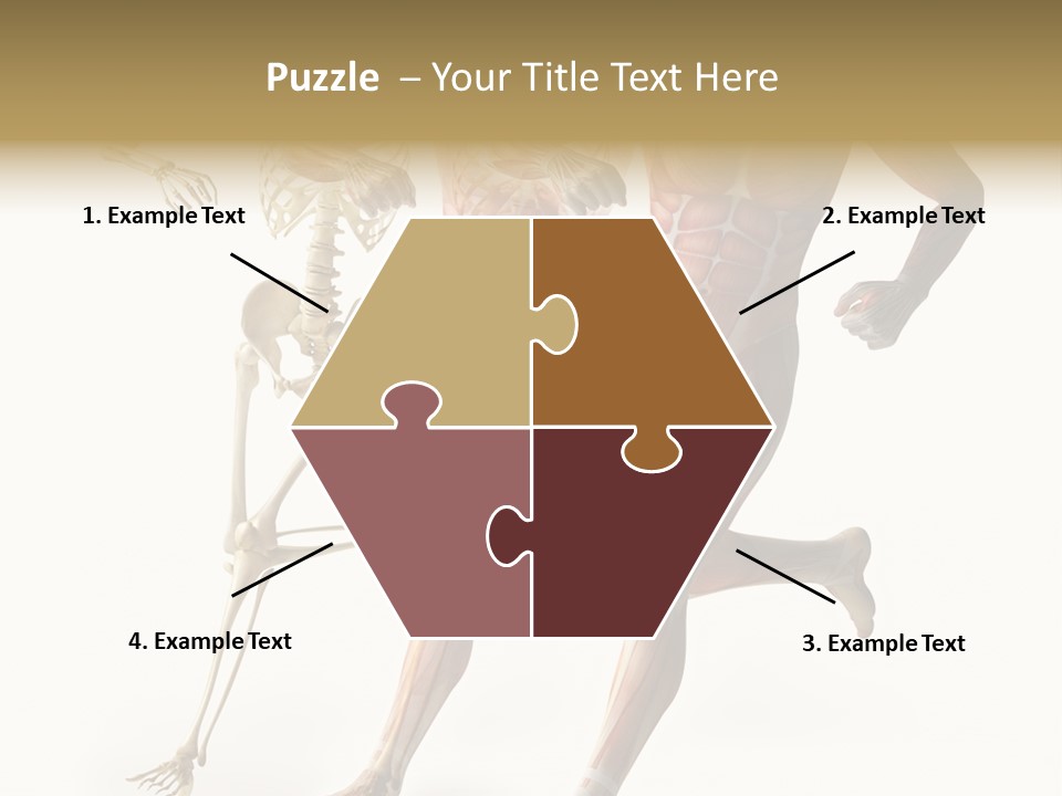 Flesh Anatomic Nature PowerPoint Template