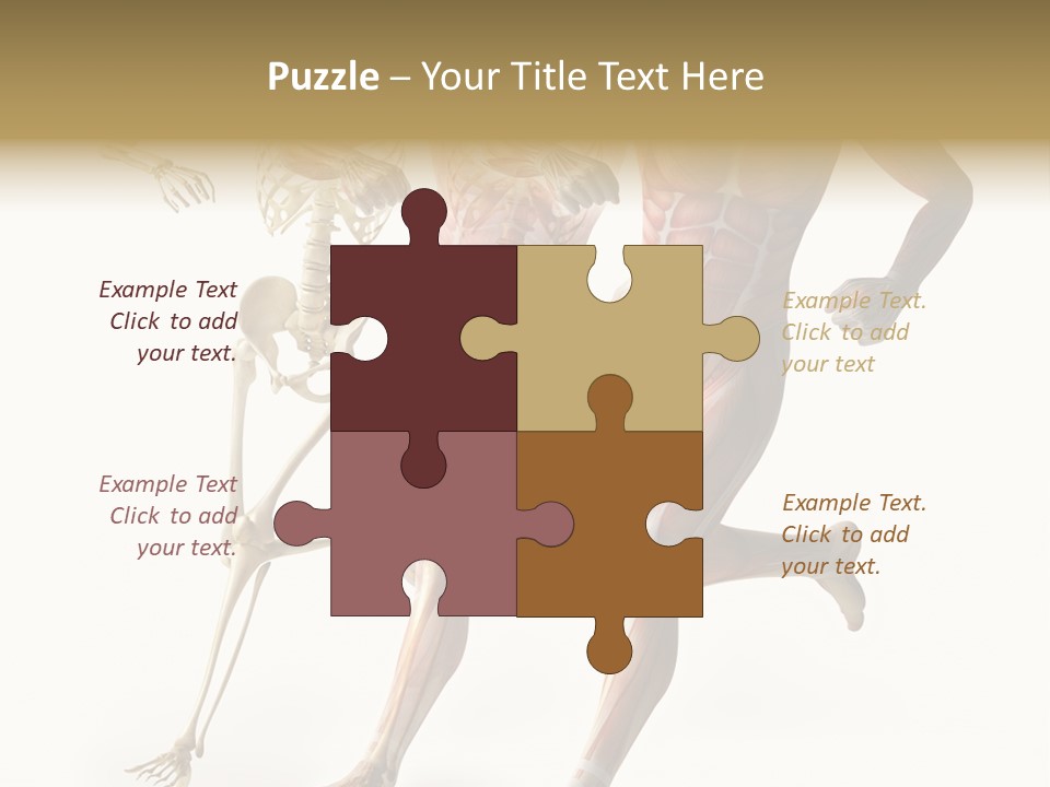 Flesh Anatomic Nature PowerPoint Template