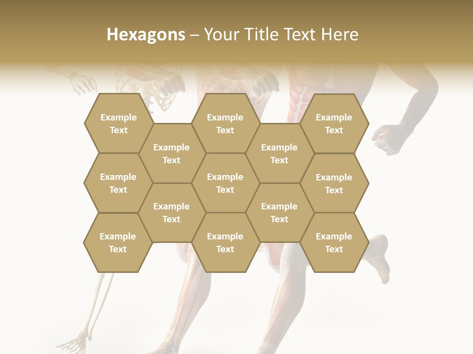 Flesh Anatomic Nature PowerPoint Template