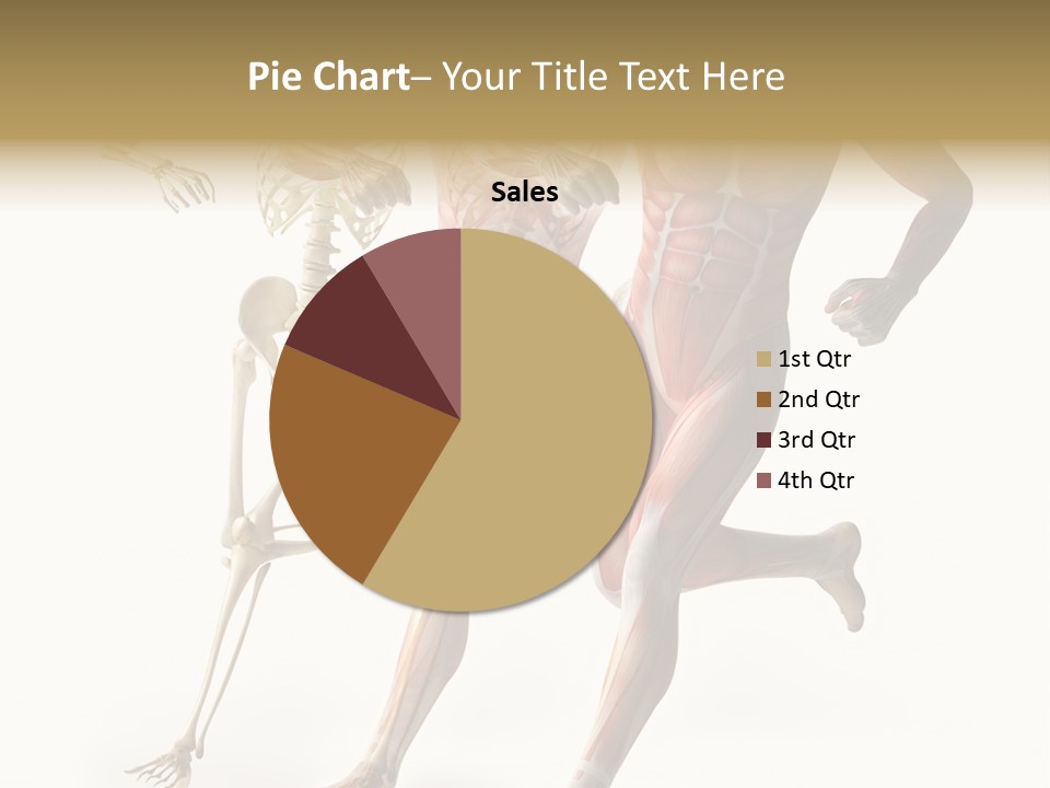Flesh Anatomic Nature PowerPoint Template