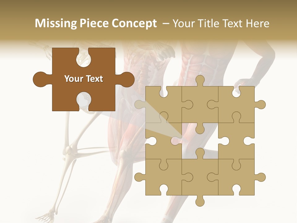 Flesh Anatomic Nature PowerPoint Template