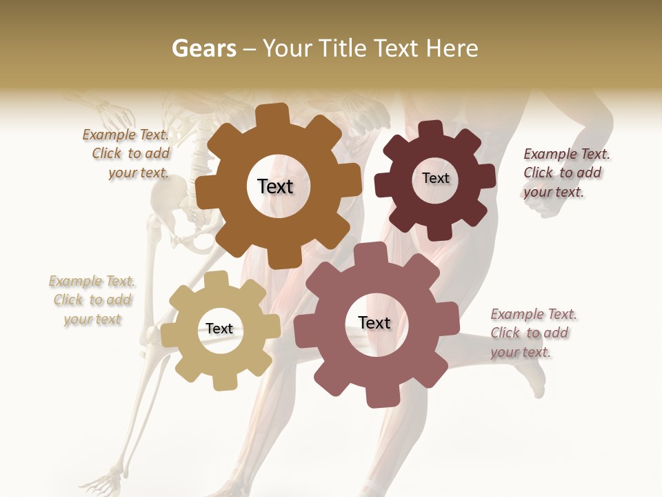 Flesh Anatomic Nature PowerPoint Template