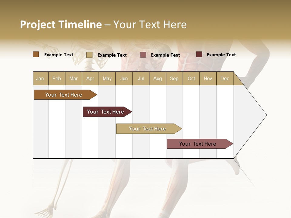 Flesh Anatomic Nature PowerPoint Template