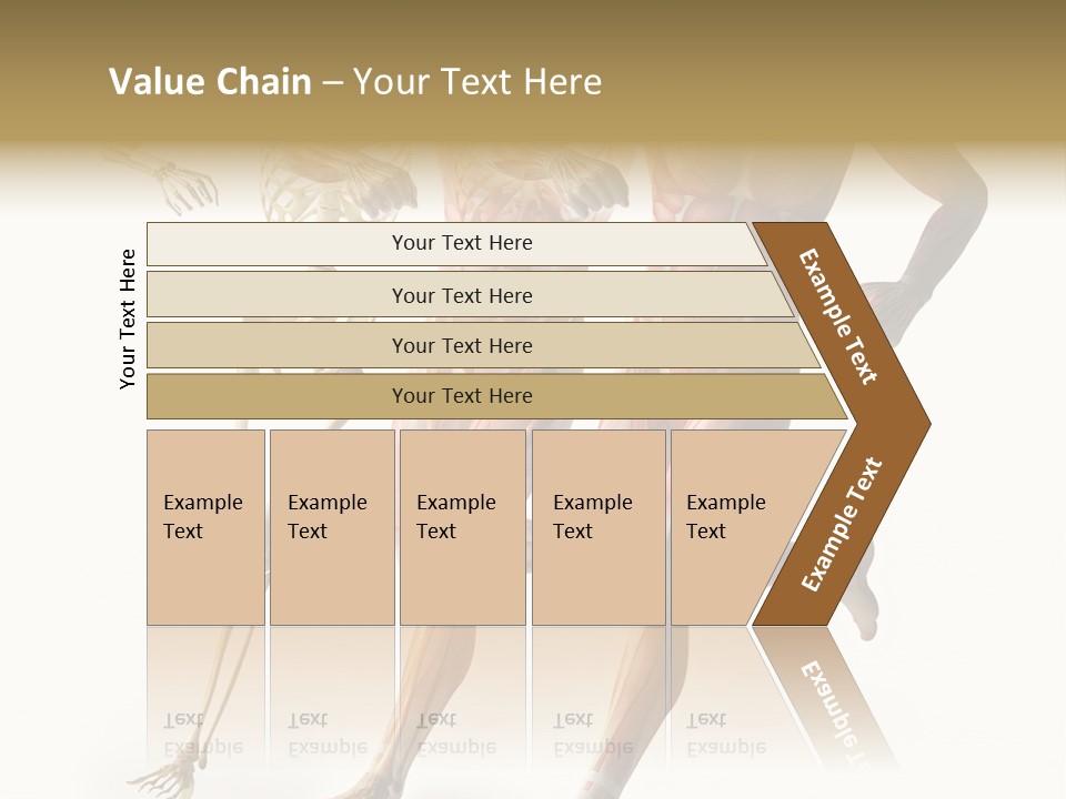 Flesh Anatomic Nature PowerPoint Template