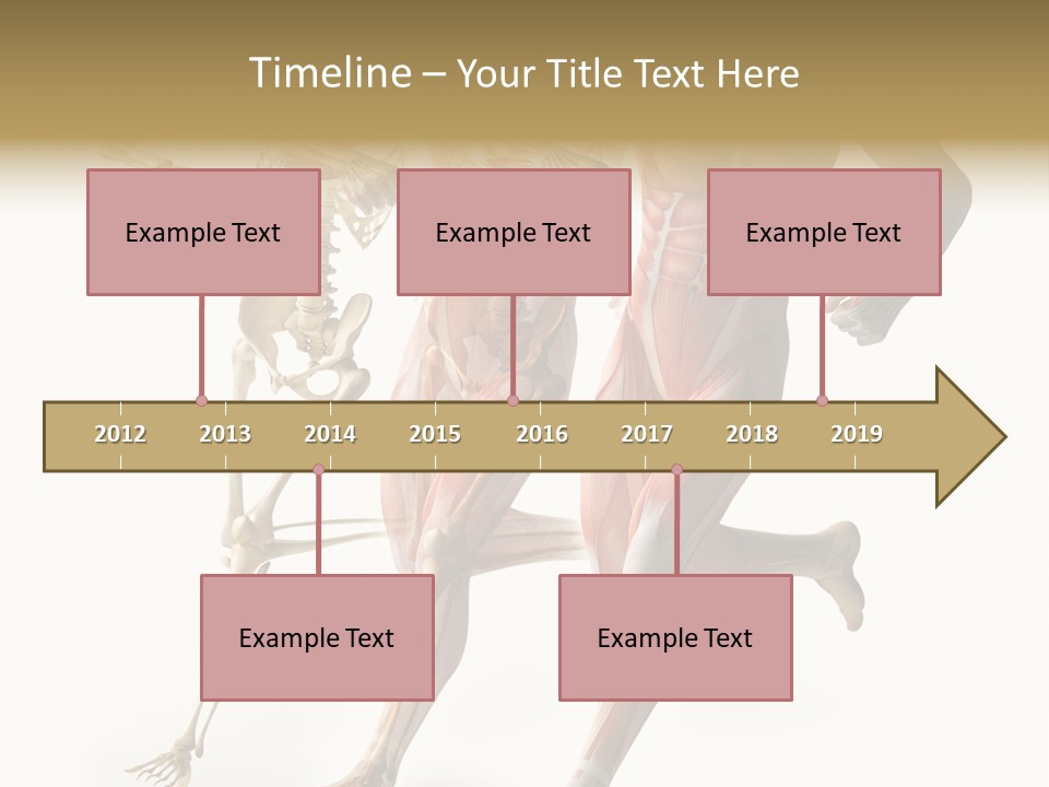 Flesh Anatomic Nature PowerPoint Template