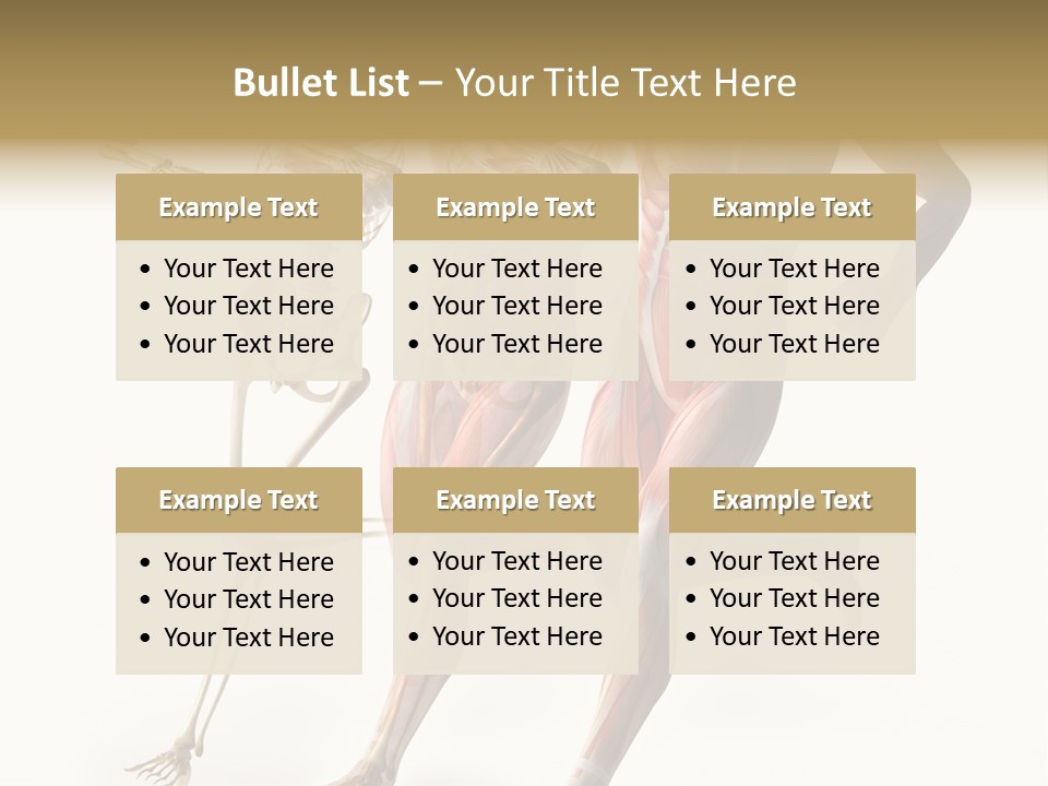 Flesh Anatomic Nature PowerPoint Template