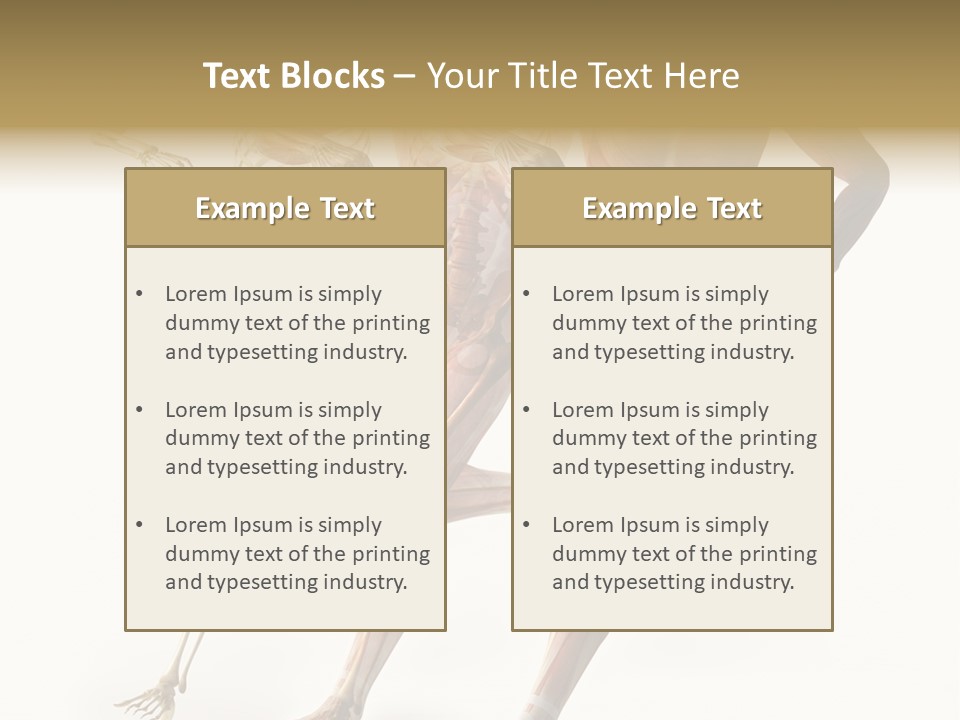 Flesh Anatomic Nature PowerPoint Template