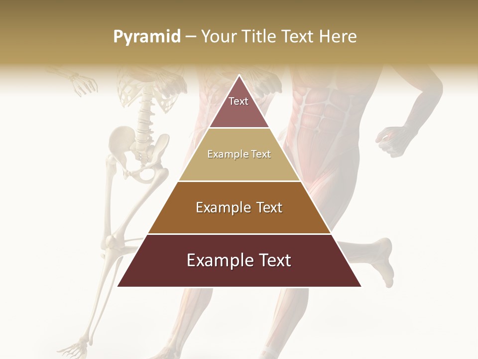 Flesh Anatomic Nature PowerPoint Template