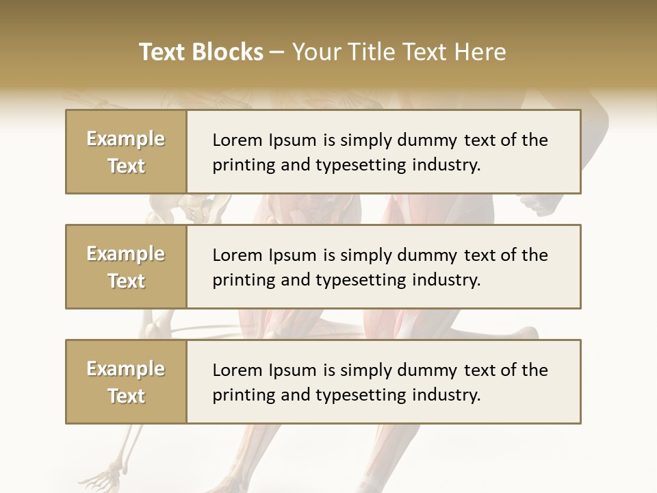 Flesh Anatomic Nature PowerPoint Template