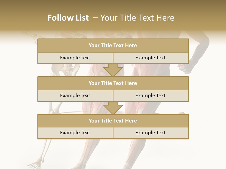 Flesh Anatomic Nature PowerPoint Template