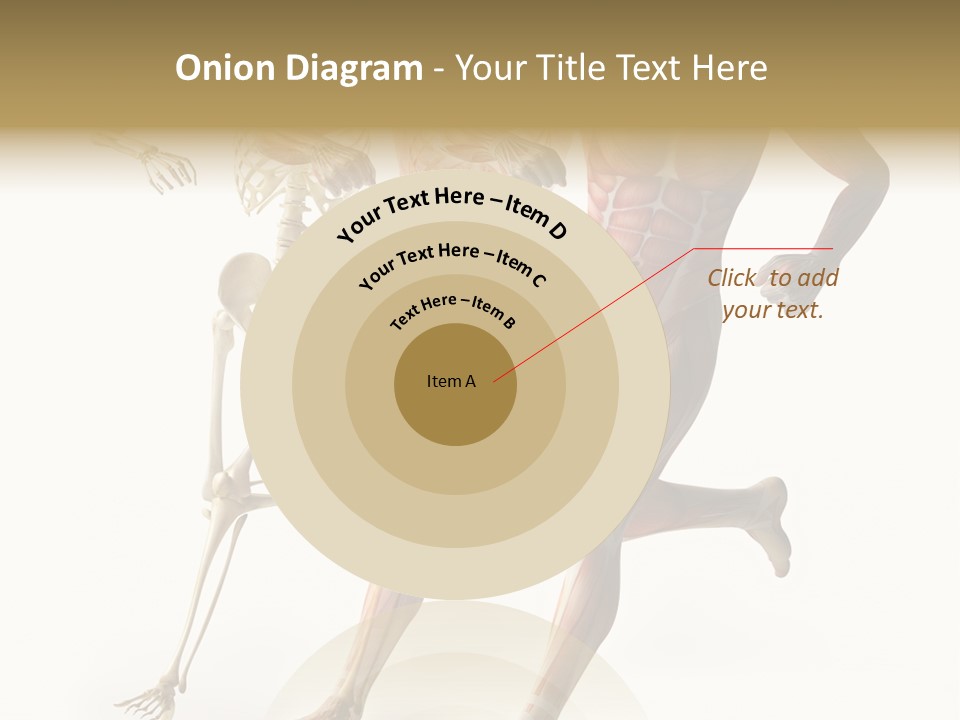 Flesh Anatomic Nature PowerPoint Template