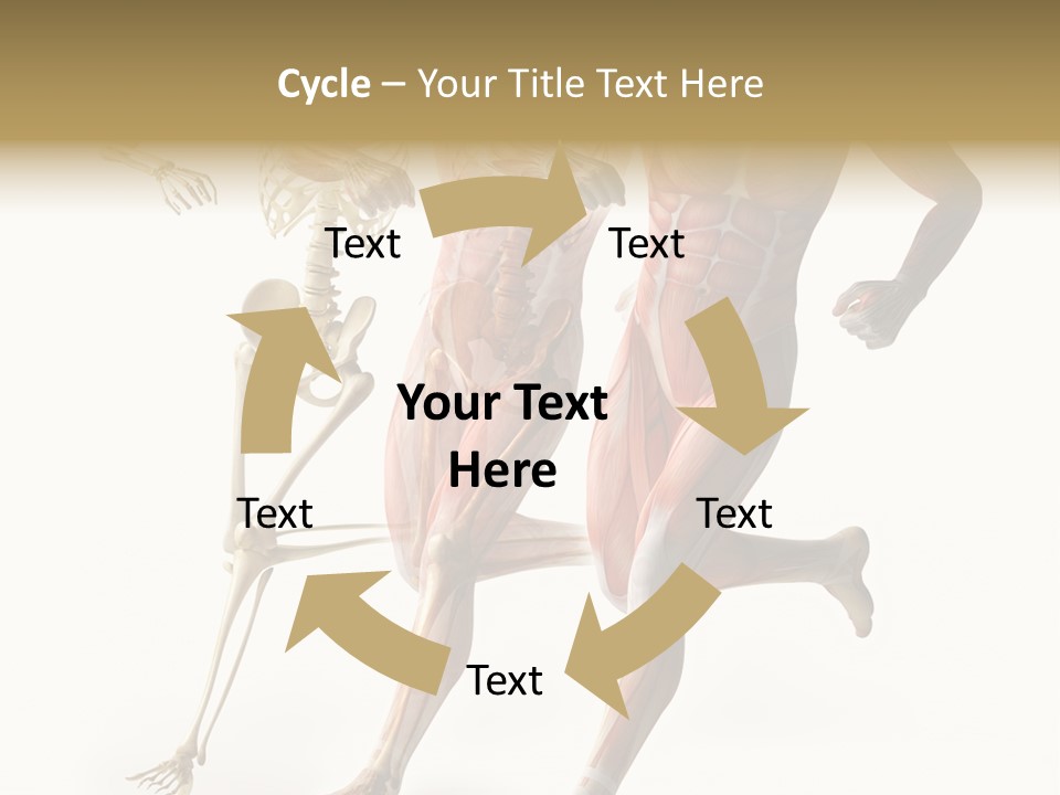 Flesh Anatomic Nature PowerPoint Template