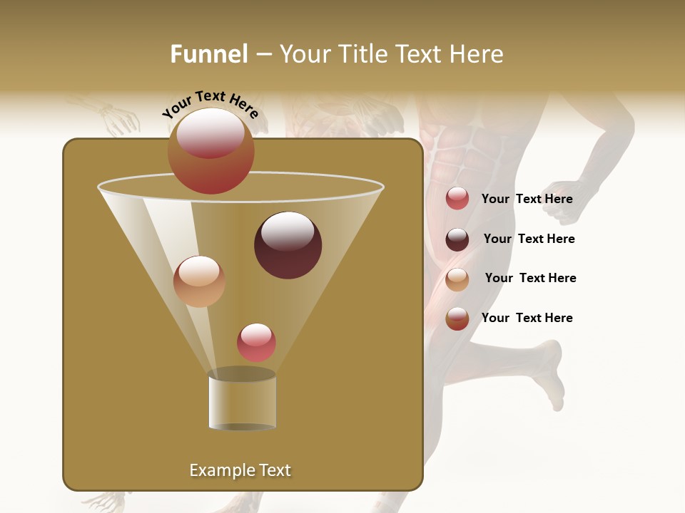 Flesh Anatomic Nature PowerPoint Template
