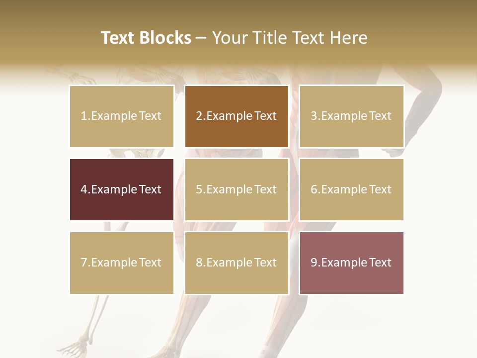 Flesh Anatomic Nature PowerPoint Template