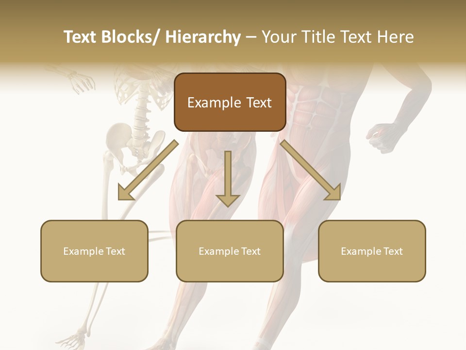Flesh Anatomic Nature PowerPoint Template