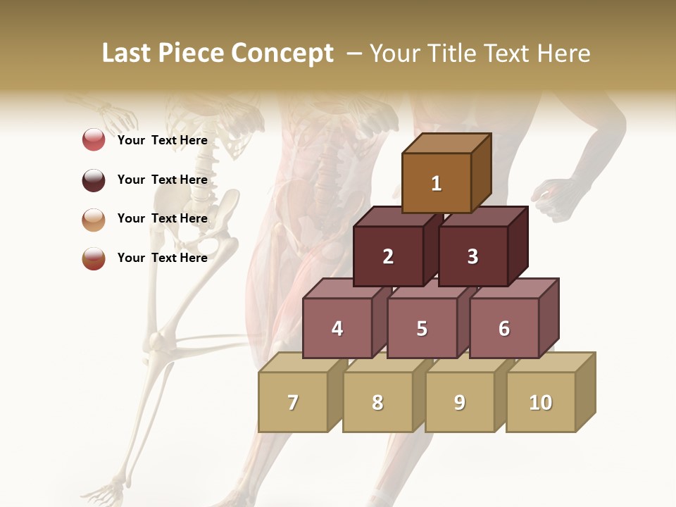 Flesh Anatomic Nature PowerPoint Template