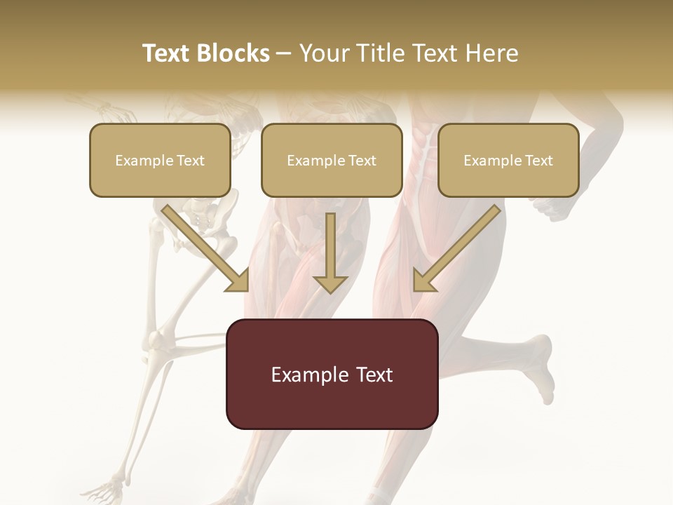Flesh Anatomic Nature PowerPoint Template