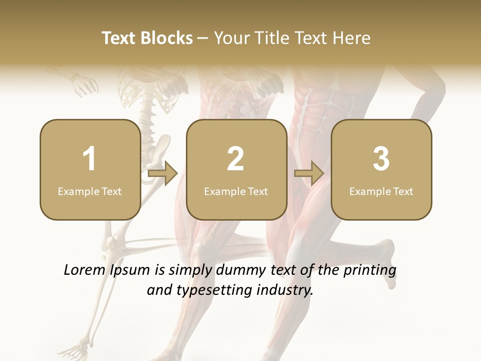 Flesh Anatomic Nature PowerPoint Template