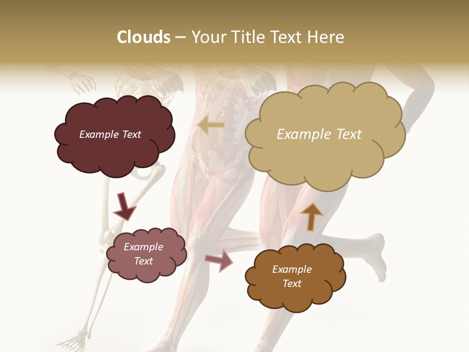 Flesh Anatomic Nature PowerPoint Template
