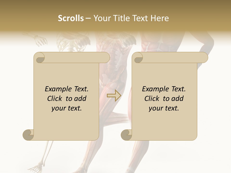 Flesh Anatomic Nature PowerPoint Template