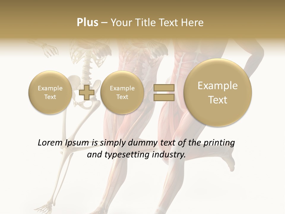 Flesh Anatomic Nature PowerPoint Template