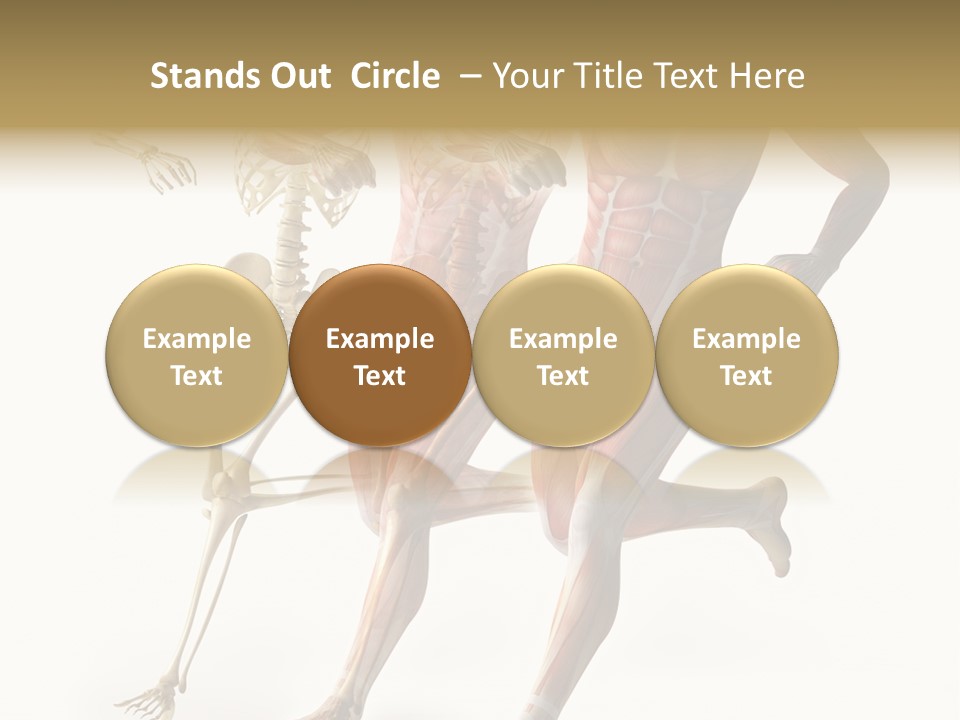 Flesh Anatomic Nature PowerPoint Template