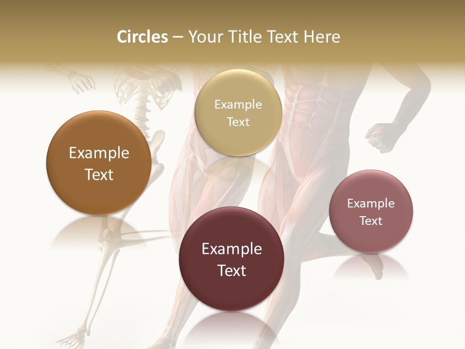 Flesh Anatomic Nature PowerPoint Template